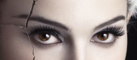 black-swan-poster-thumb